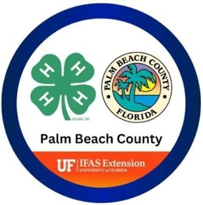 4‑H Palm Beach County logo